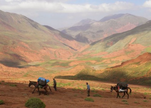 8-Day Hiking The Red Mountains of Tassaout : Central Atlas