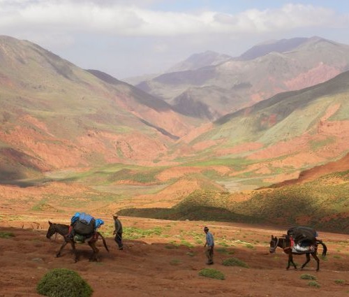 8-Day Hiking The Red Mountains of Tassaout : Central Atlas