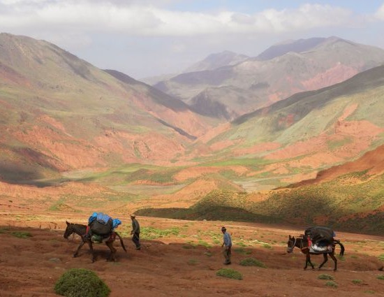 8-Day Hiking The Red Mountains of Tassaout : Central Atlas