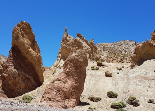 Aventure de randonnée de 8 jours à Ait Bougmez via Roses Valley: Découvrez les joyaux cachés du Maroc