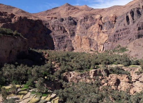 5 Days Family Adventure in Ait Bougmez Valley