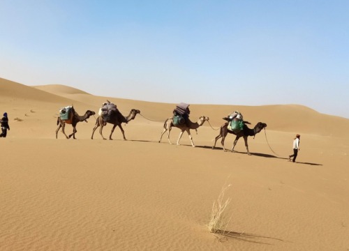 A Magical 10-Day Journey Through Morocco's Sahara: the crossing of the desert