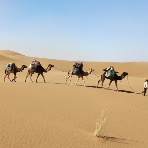 A Magical 10-Day Journey Through Morocco's Sahara: the crossing of the desert