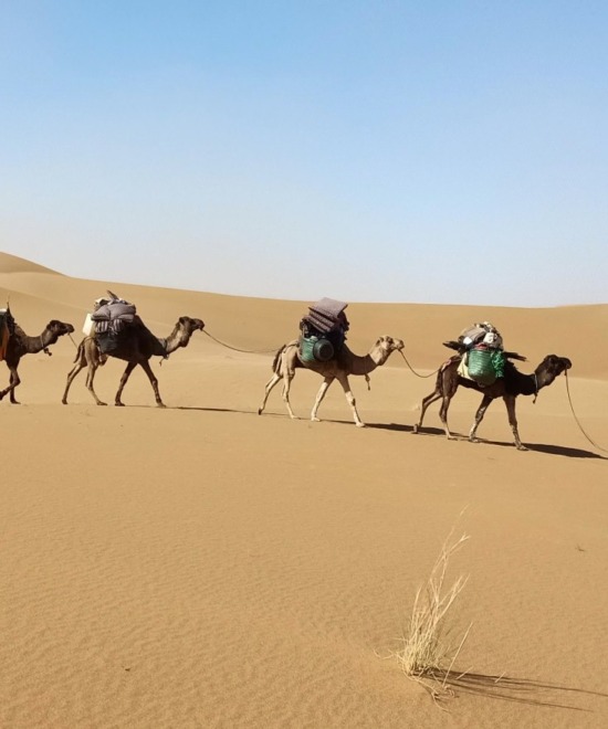 A Magical 10-Day Journey Through Morocco’s Sahara: the crossing of the desert