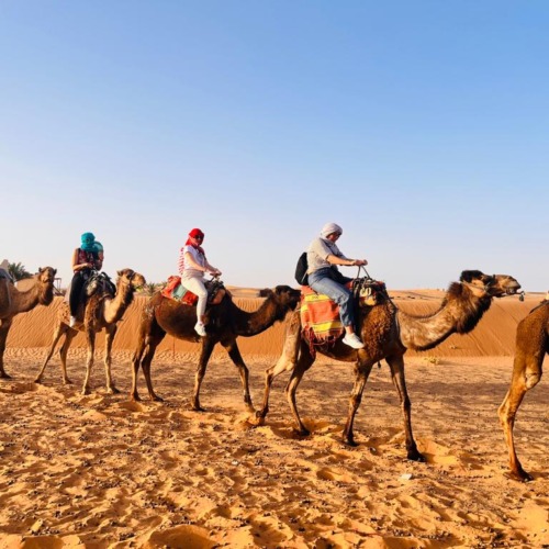 The Soul of the Desert: 10-Day Sahara Hiking