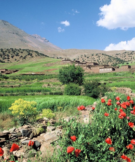 8-Day Exploring Berber Villages and the Majestic Gorges of Mgoun