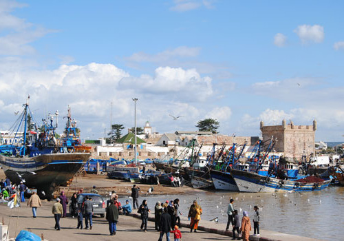 8 Day Essaouira - Family Hikes on the Atlantic Coast