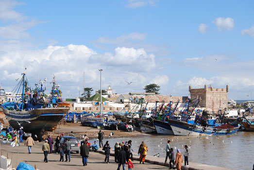 8 Day Essaouira – Family Hikes on the Atlantic Coast