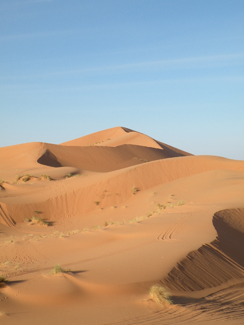 L'âme du Sahara