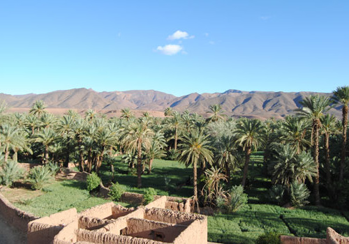 8-Day Hike : Discover the Beauty of the Draa Valley and Sahara Desert